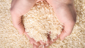 ОАЭ временно запретили поставки риса за рубеж